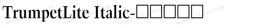 TrumpetLite Italic字体转换